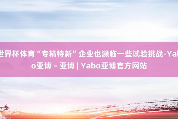 世界杯体育“专精特新”企业也濒临一些试验挑战-Yabo亚博 - 亚博 | Yabo亚博官方网站