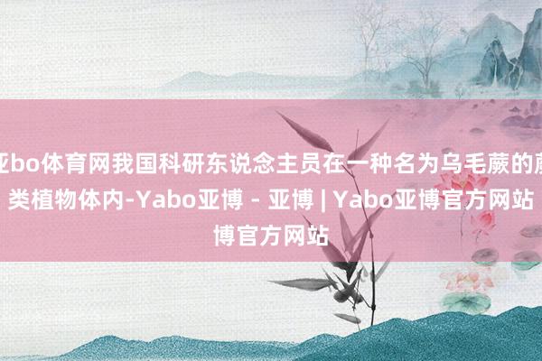 亚bo体育网我国科研东说念主员在一种名为乌毛蕨的蕨类植物体内-Yabo亚博 - 亚博 | Yabo亚博官方网站